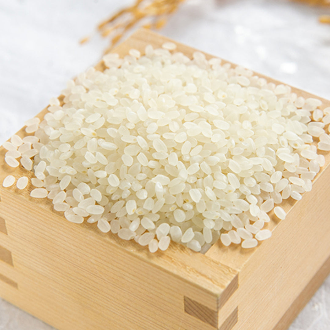 令和6年度 新潟県産コシヒカリ「高儀情熱米」精米5kg (新潟県特別栽培認証米)